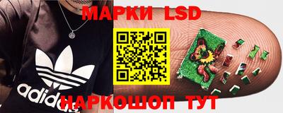 альфа пвп Гай