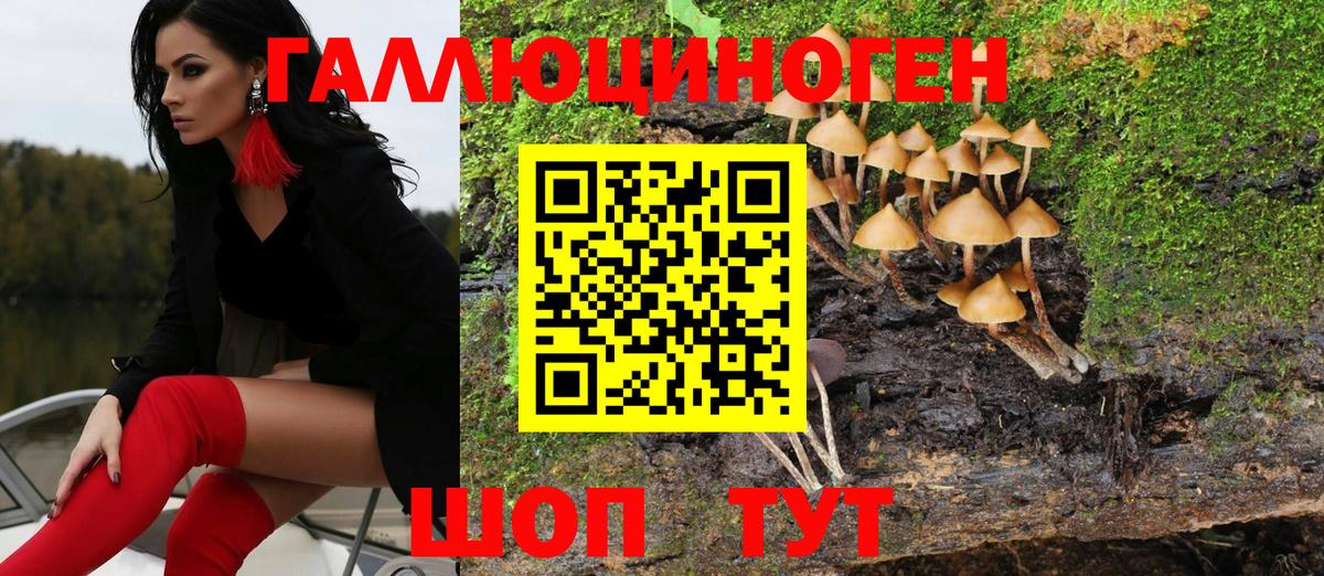 Галлюциногенные грибы Psilocybe Горячий Ключ