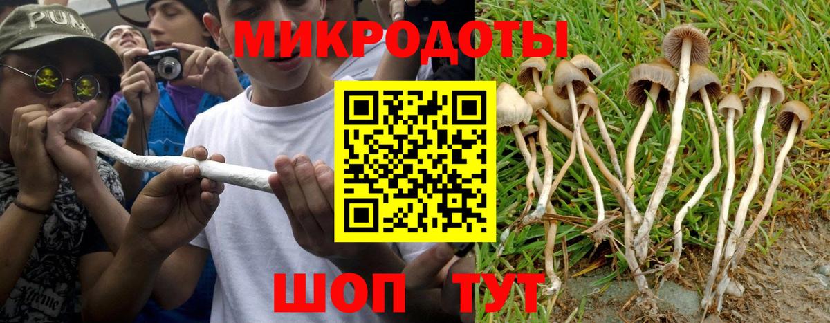 Галлюциногенные грибы прущие грибы  Вход с VPN  Горячий Ключ  где продают   Псилоцибиновые грибы ЛСД 